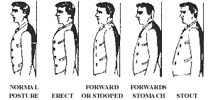 postures.gif (13539 bytes)