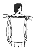 shoulders.gif (2646 bytes)